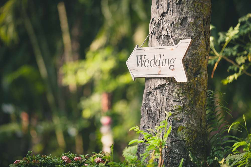 Some Things You Really Need To Know About Planning A Wedding