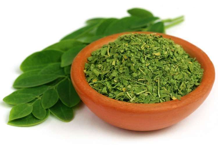 New Moringa Superfood